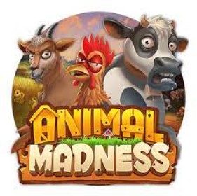 Animal Madness | Play’n Go – Avis & Jouez Gratuitement