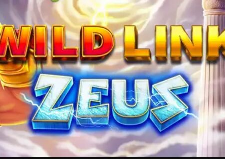 Wild Link Zeus > Test et Avis 2022