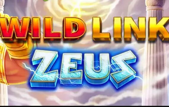 Wild Link Zeus > Test et Avis 2022