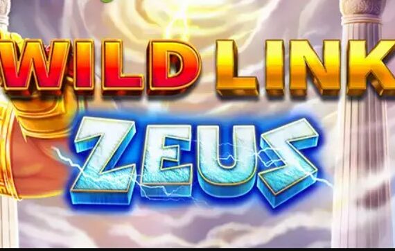 Wild Link Zeus > Test et Avis 2022