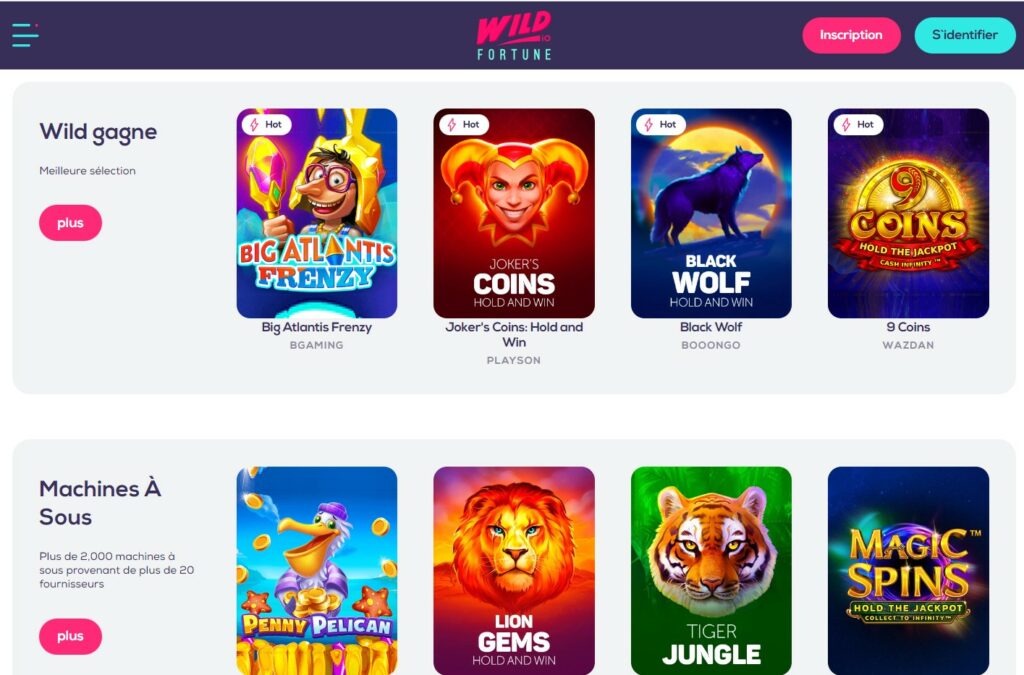le design de wild casino est coloré et assez clair mais trouver des informations est complexe