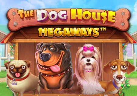 The Dog House > un retour à la niche gagnant !