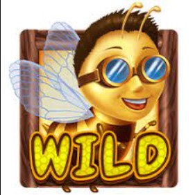 Wild Buzz > butinez, butinez jusqu’à 10 000 fois votre mise !
