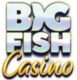 Big Fish Casino  > Rejoignez la communauté et jouez gratuitement