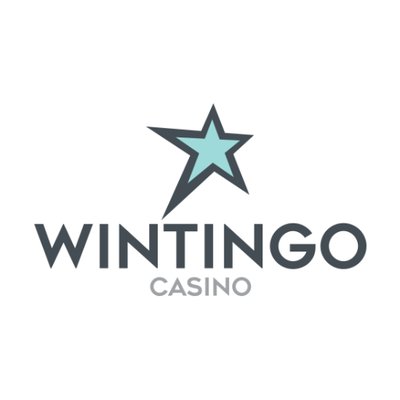 wintingo avis complet