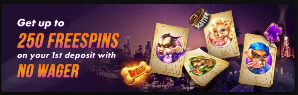 page du bonus de bienvenue sur chipstars