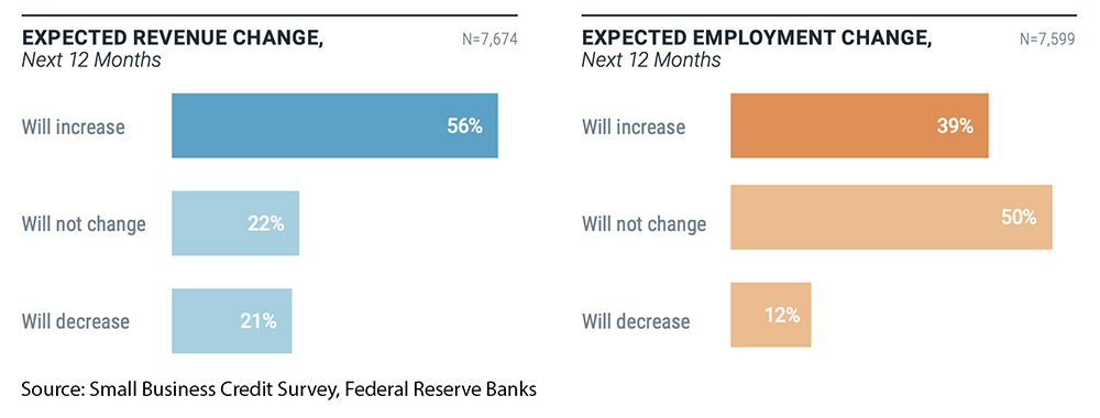 Chart showing projected revenue and employment changes for small businesses over the next year.