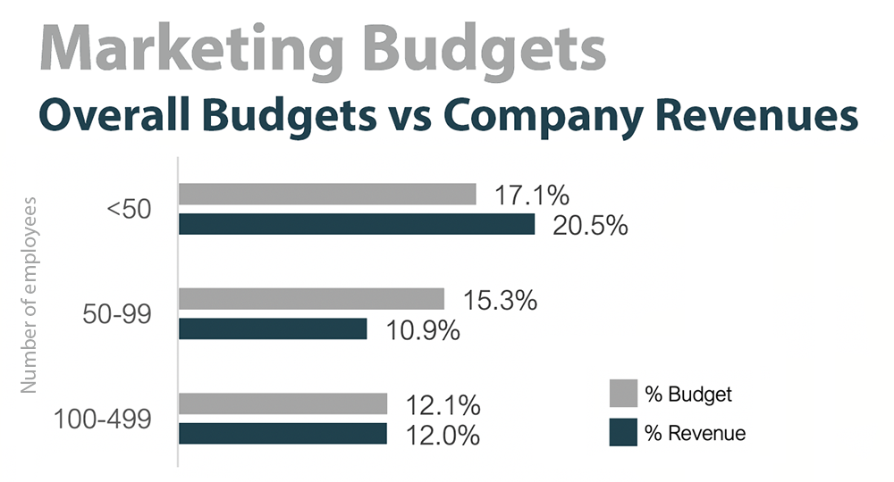 Chart comparing overall company marketing budget vs company revenue